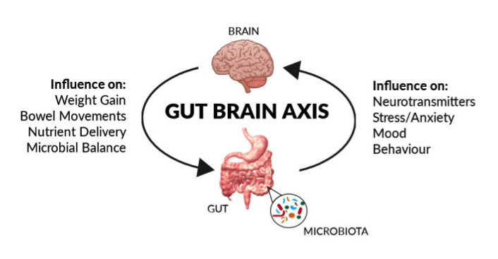 Probiotics- the Gut Brain Connection | Healthy Eating Active Living™